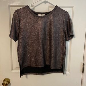 Short sleeve semi crop top. Metallic color. Brand: Ya. Size:M